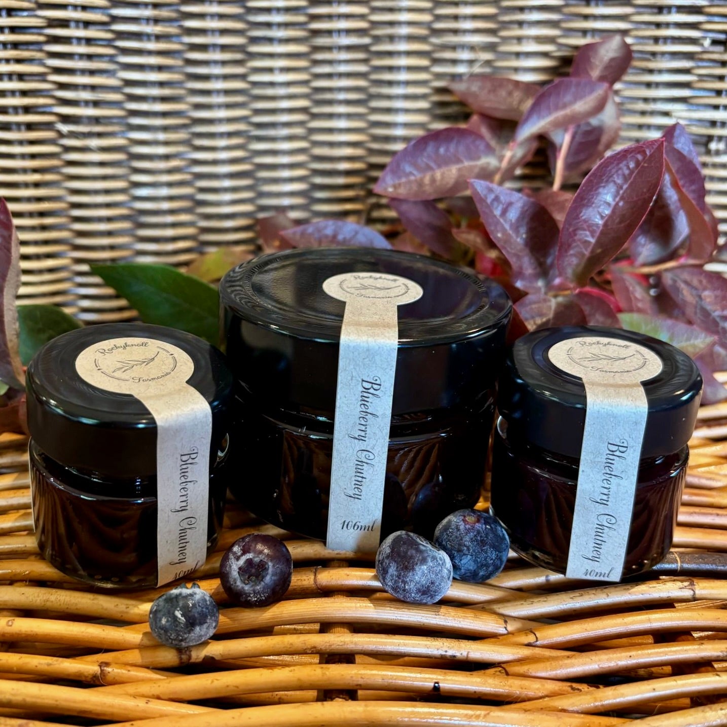 Blueberry Chutney