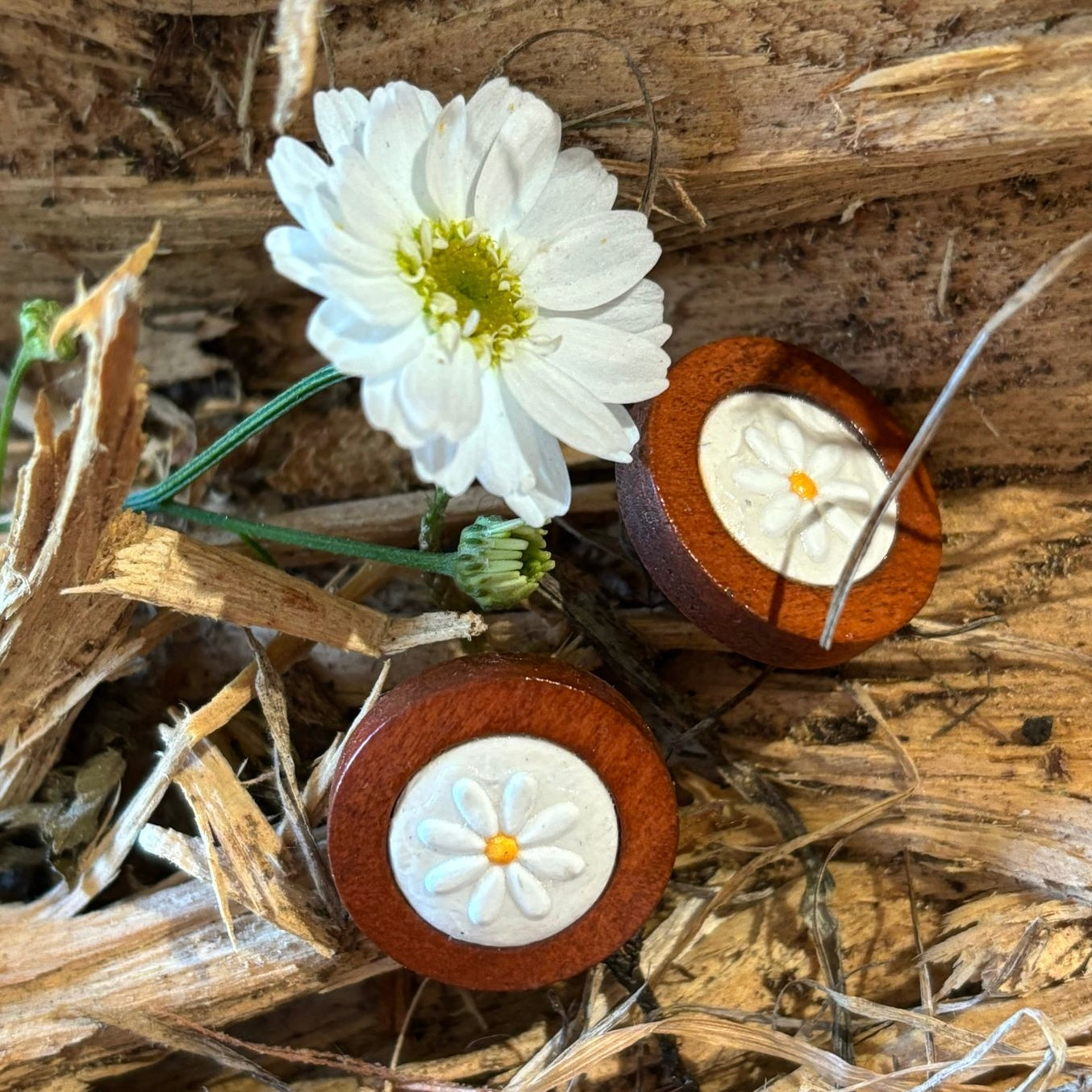 Chloe Earrings