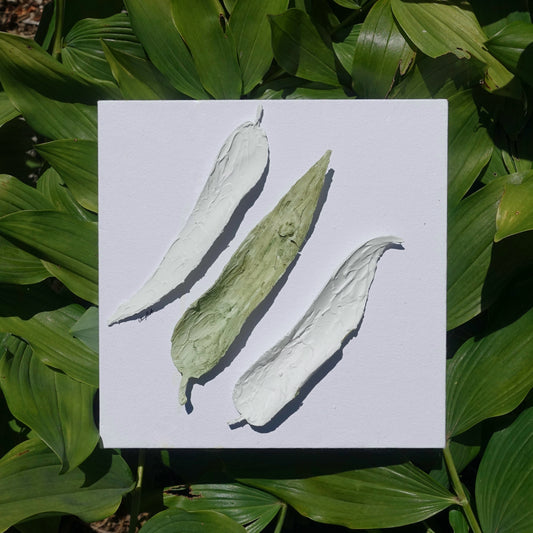 Nature's Script