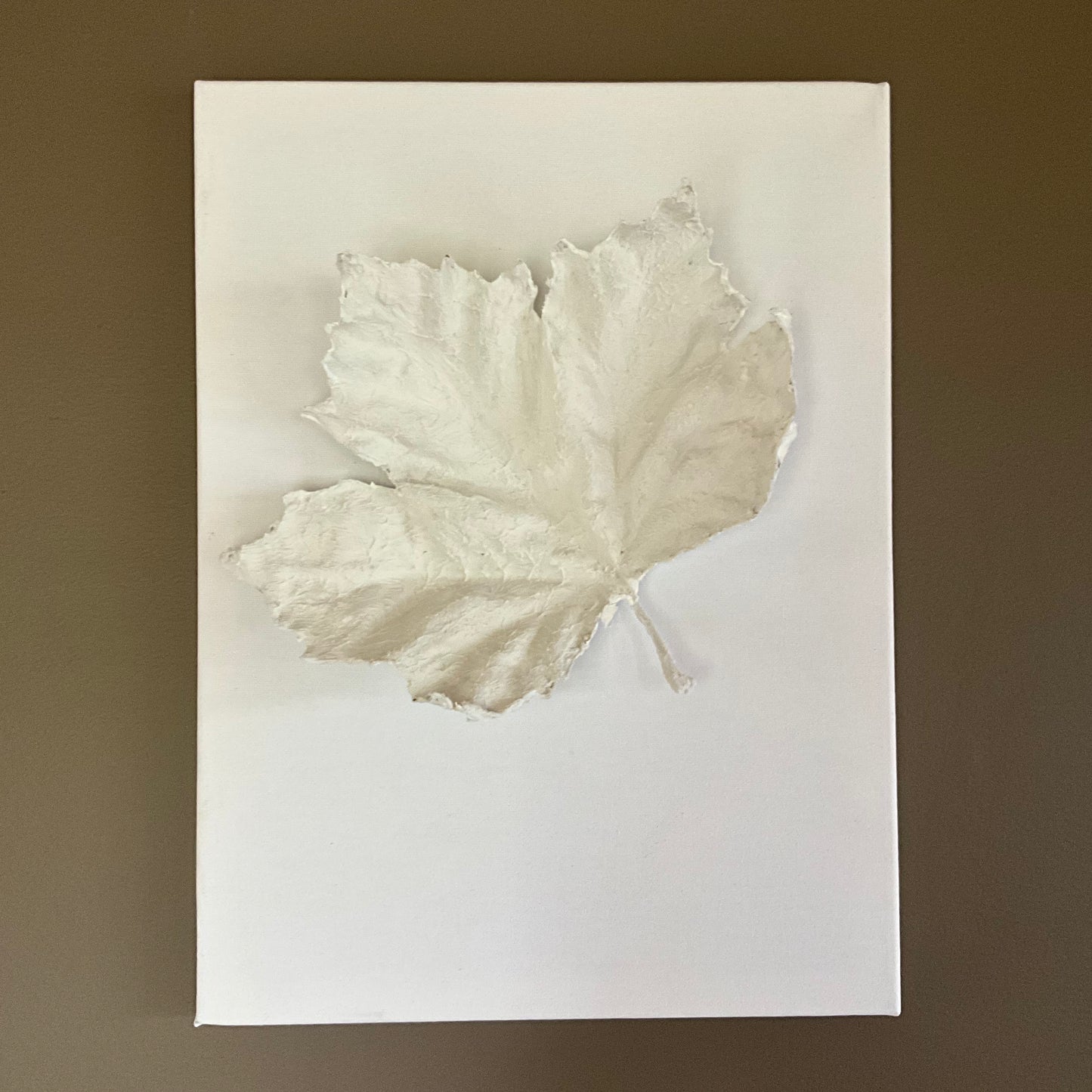 White Majestic Maple