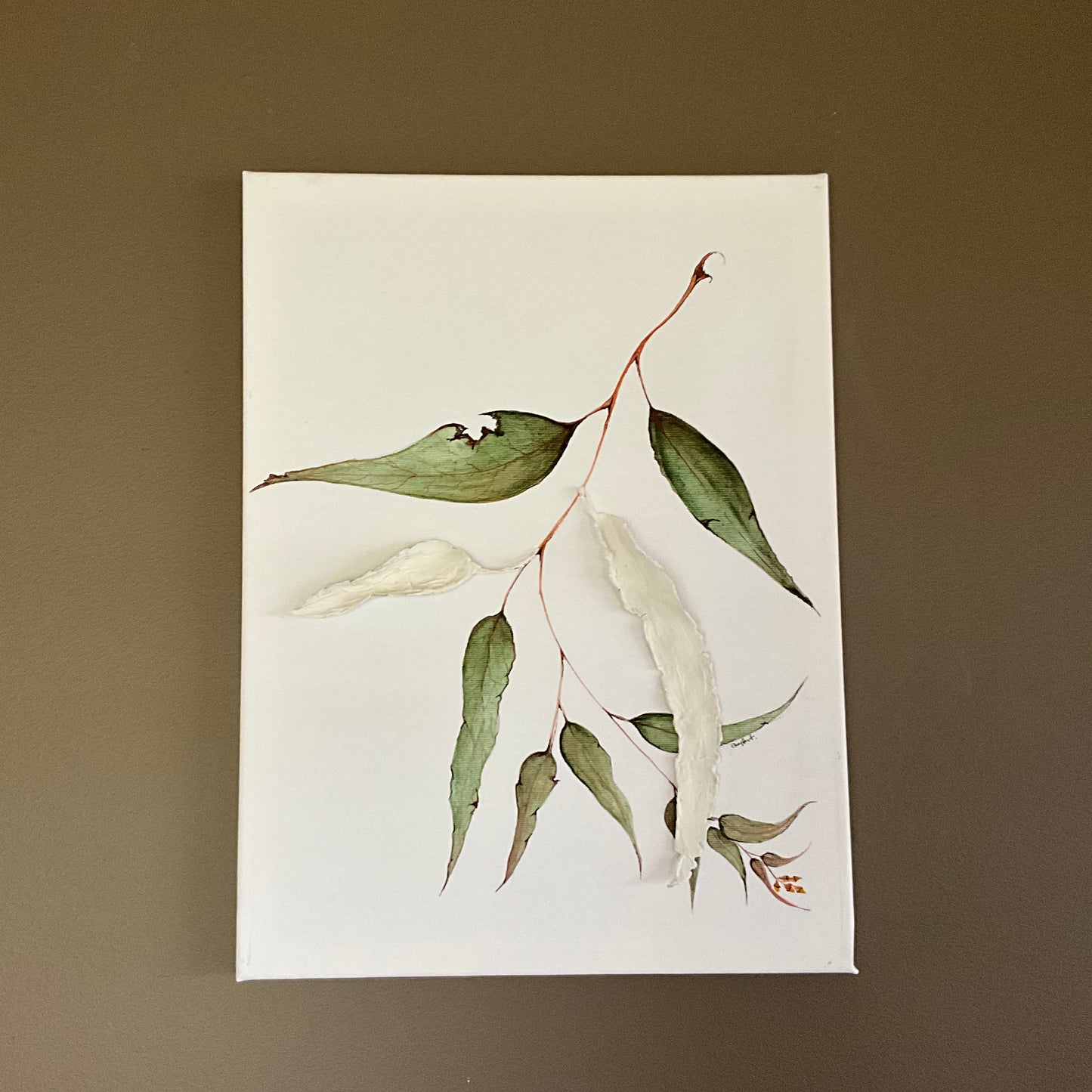 Water & Clay Eucalyptus