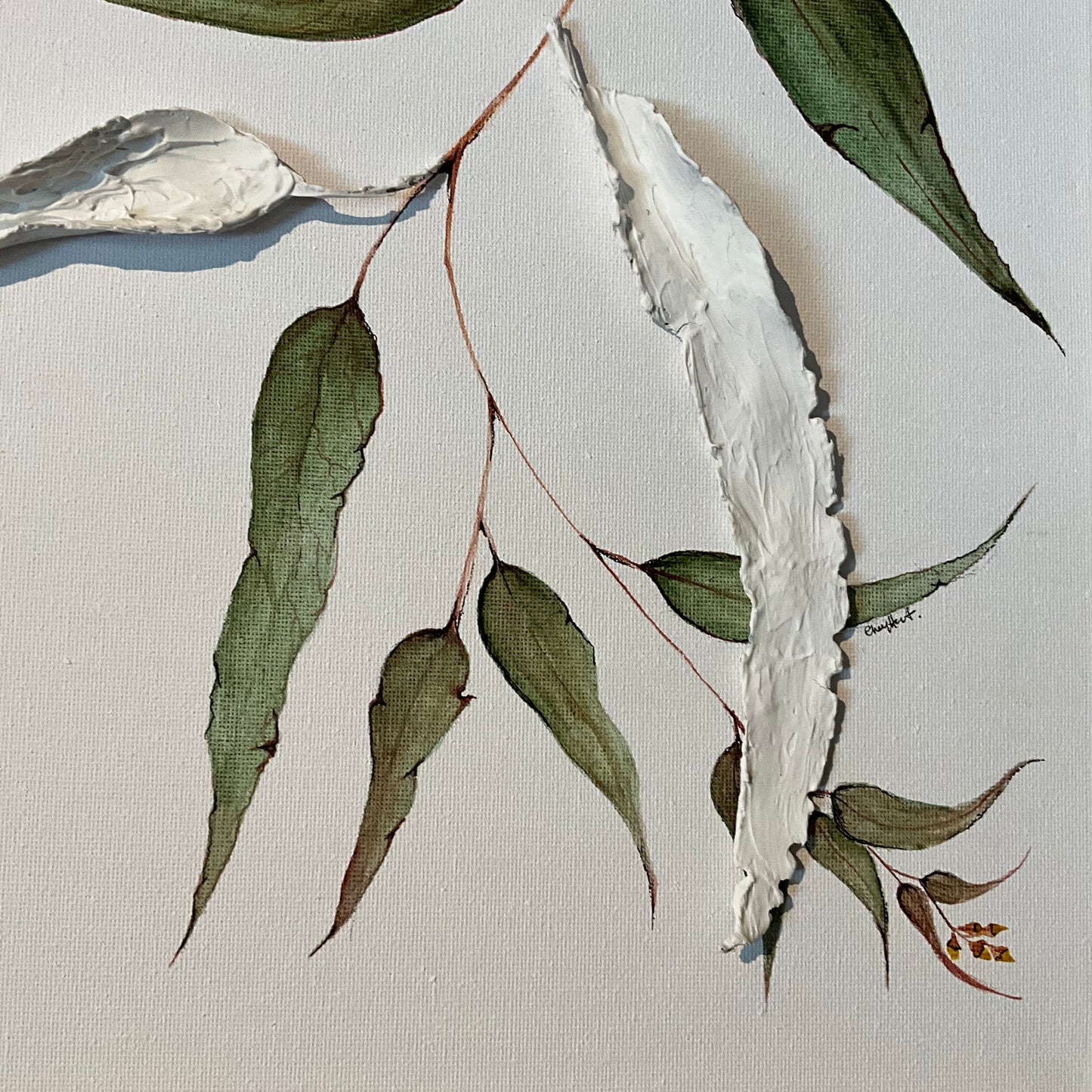 Water & Clay Eucalyptus
