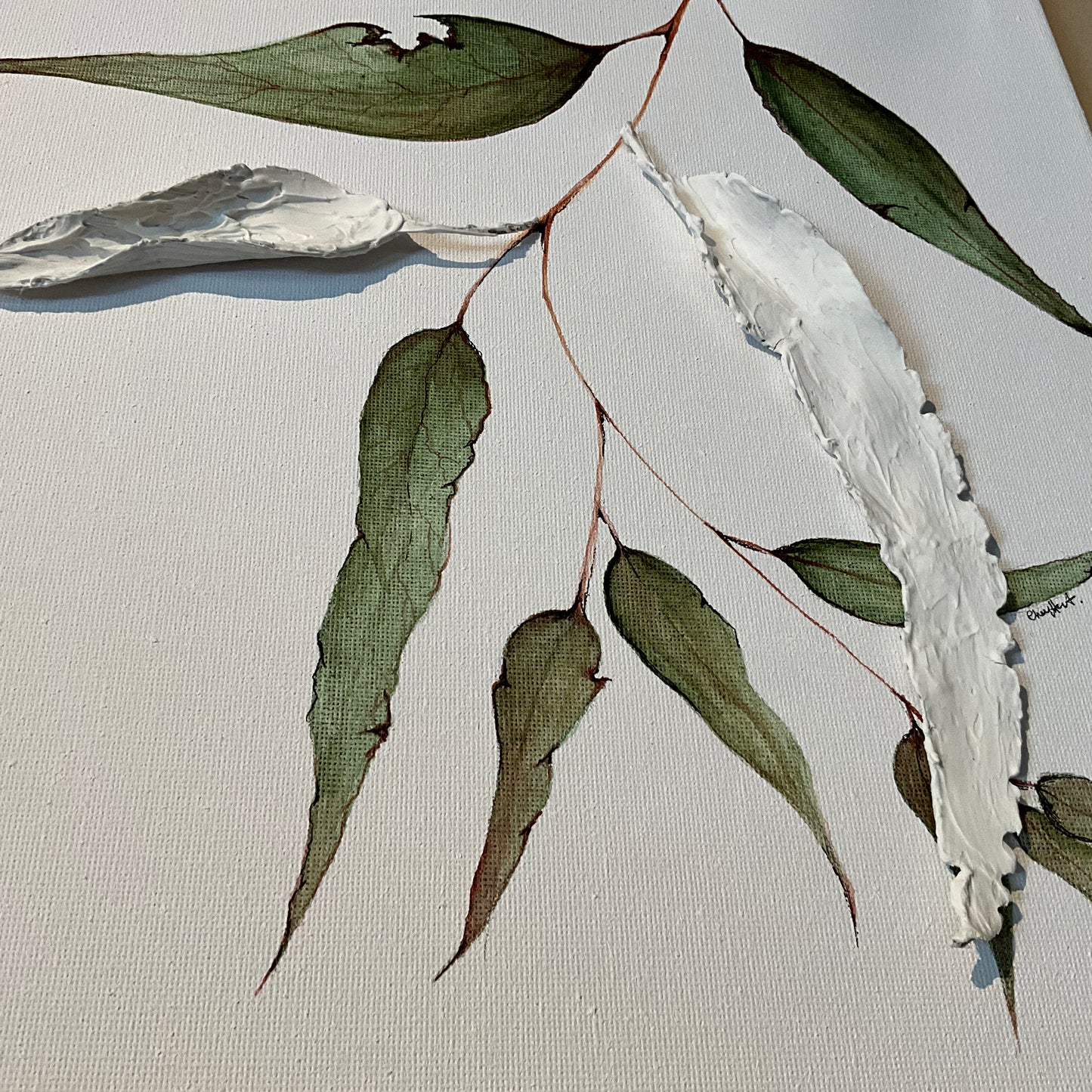 Water & Clay Eucalyptus