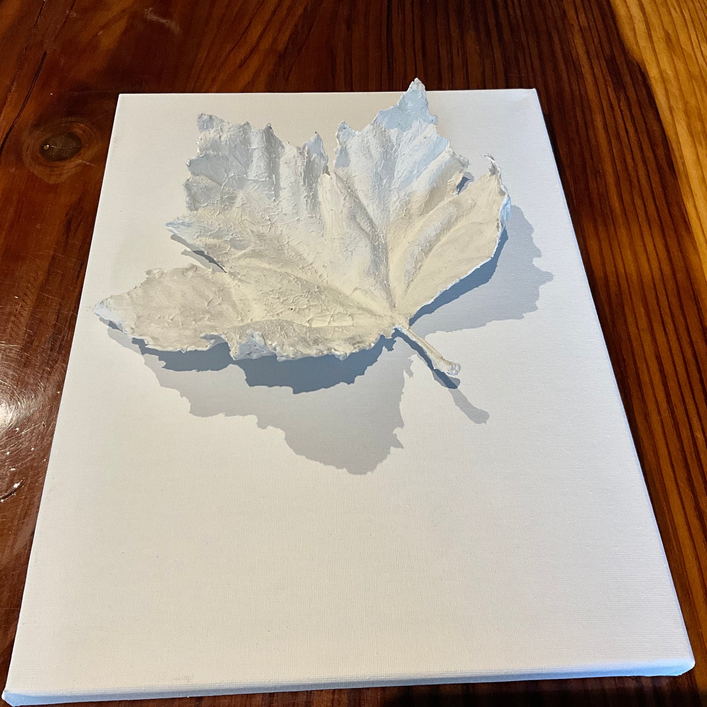 White Majestic Maple