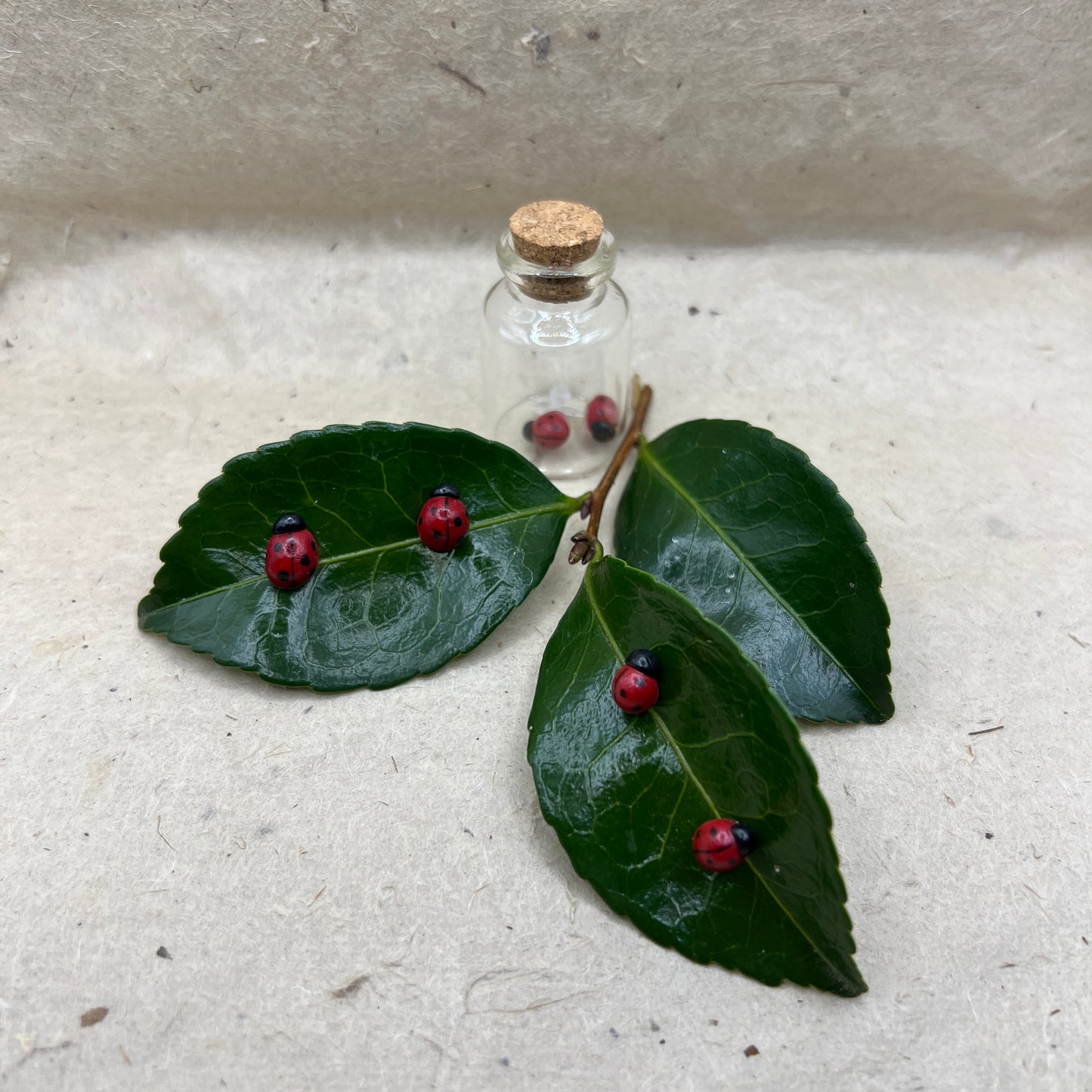 Ladybug Earrings