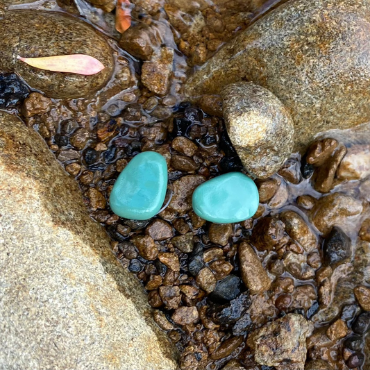 Pebble Earrings